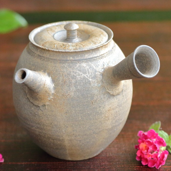 水野陽景 藻掛け急須 満容量270ml 常滑焼煎茶器 共箱