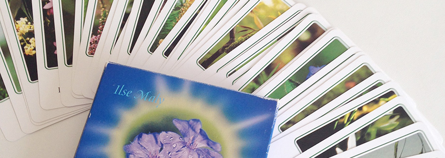 無料カードセッション フラワーエッセンスのシャンドゥルール