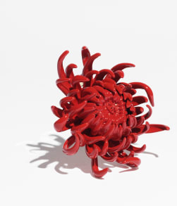 ブローチ - コスチューム ジュエリー — ファッション | CHANEL