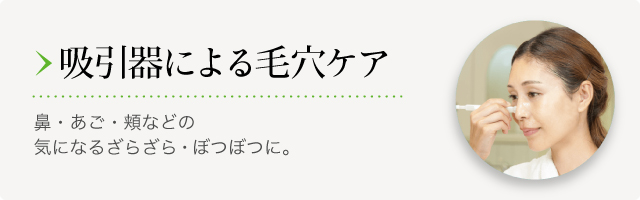 クロロフイル│製品情報