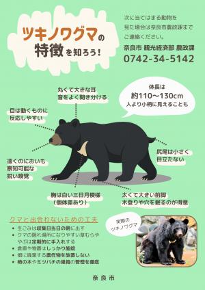 市内でのクマ目撃に関する注意と情報提供のお願い - 奈良市