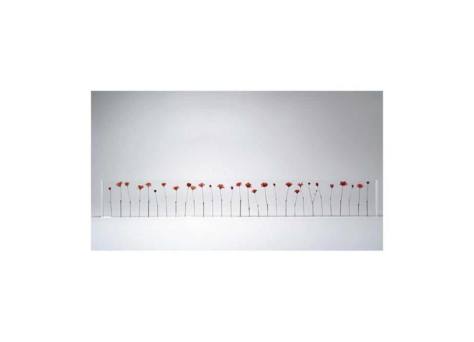 studio note / スタジオノート】f,l,o,w,e,r,sの商品詳細ページ