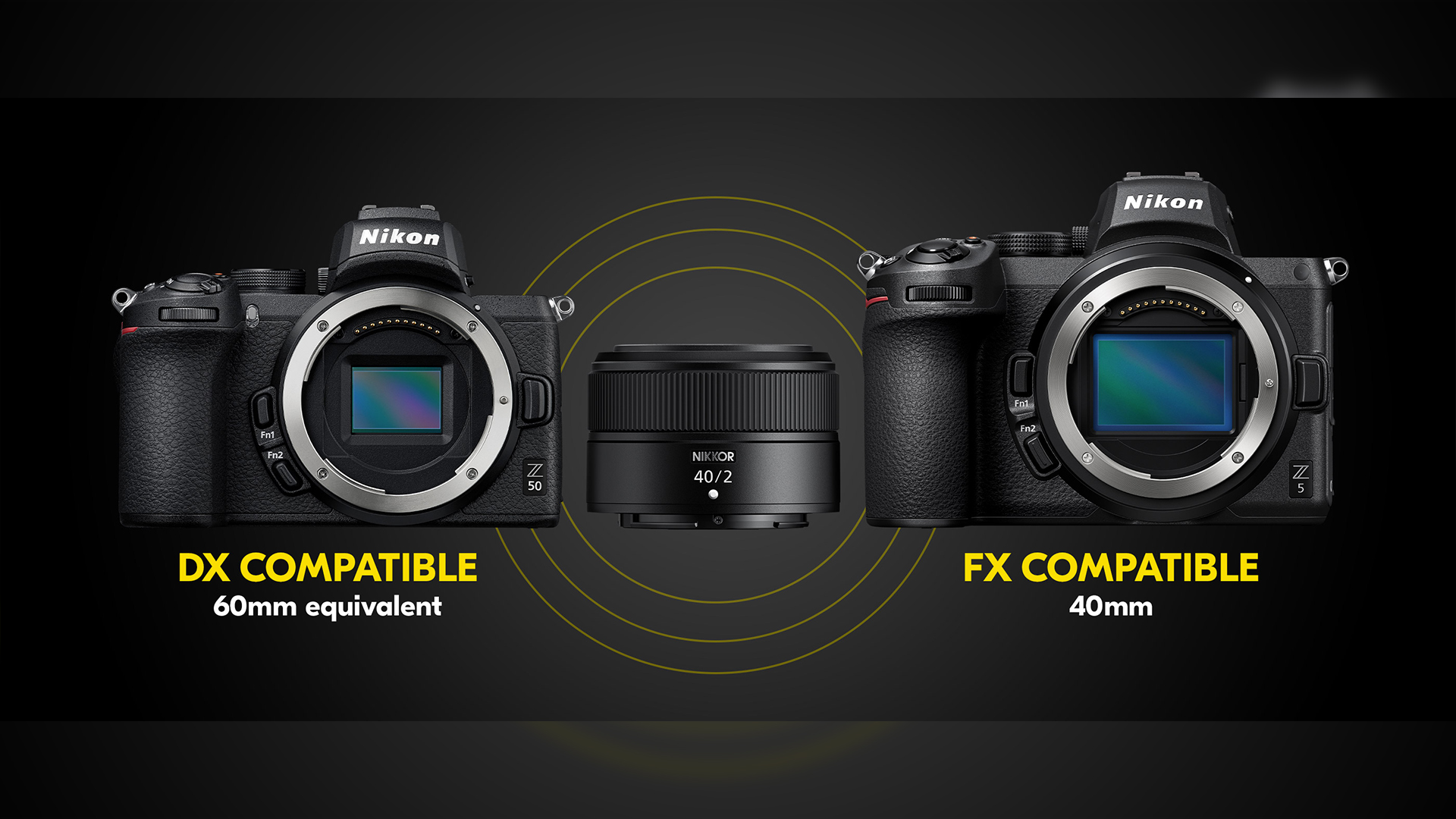 ニコンがNIKKOR Z 40mm F/2を発表 | CineD