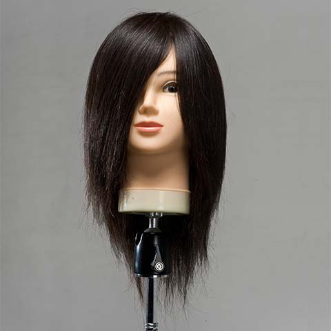 お試しset】一番人気カットウィッグ! (100%人毛) 通常/コンパクト 比較