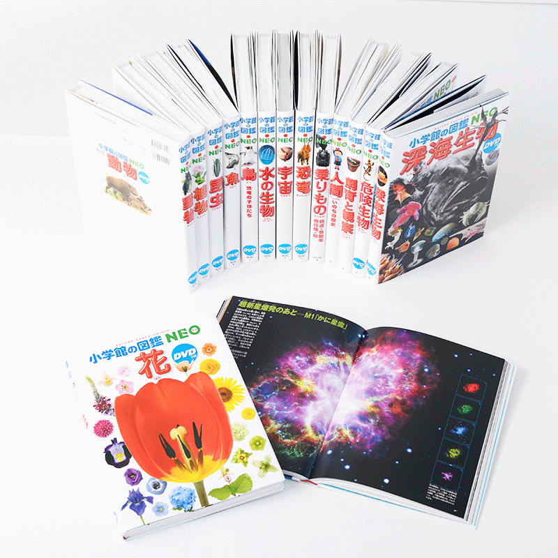 小学館の図鑑NEO 10冊セット DVD3冊あり❗️ 小学館の図鑑NEO 10冊