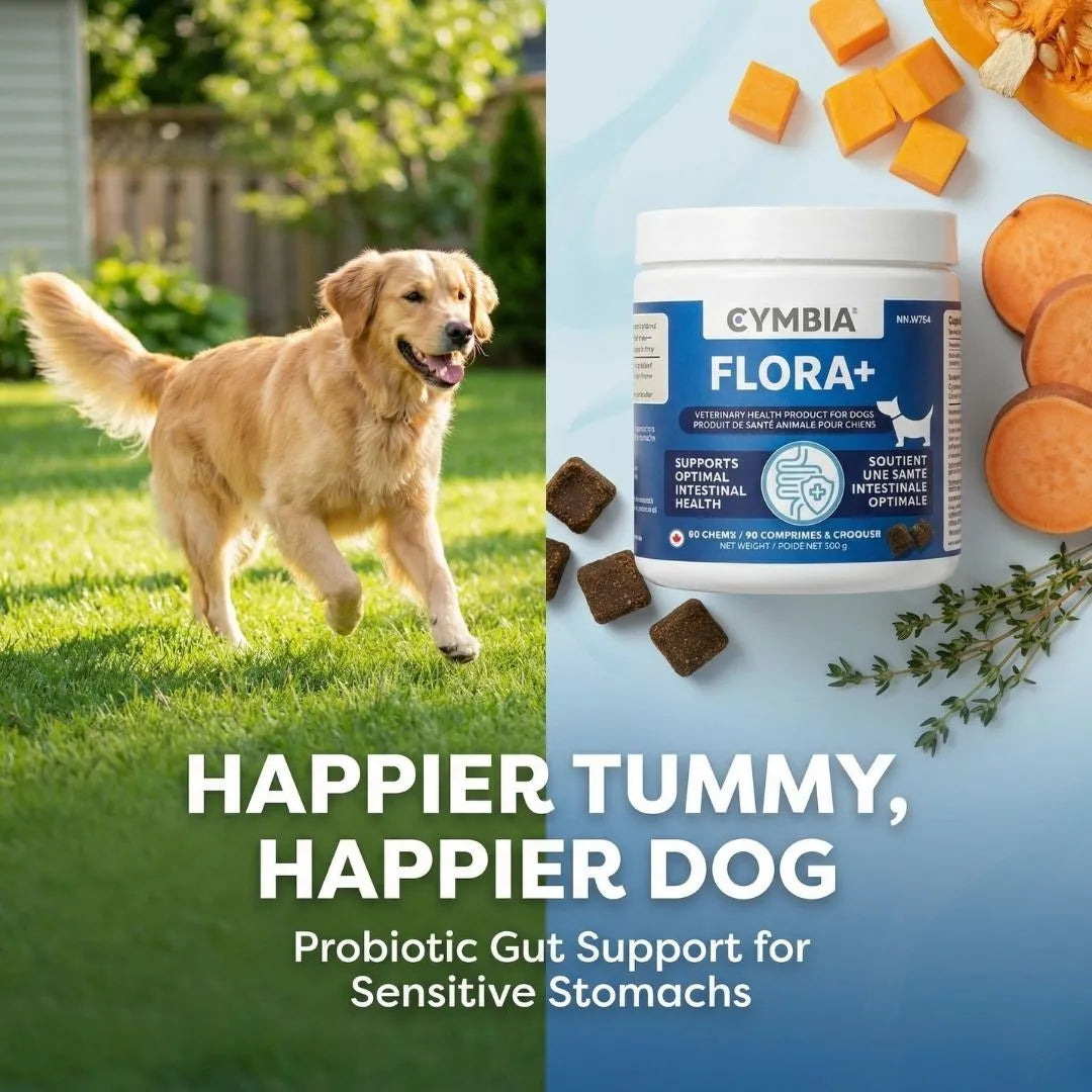 Flora+ | Diet Dog Treats for Digestive Health & Gut Care – Cymbia