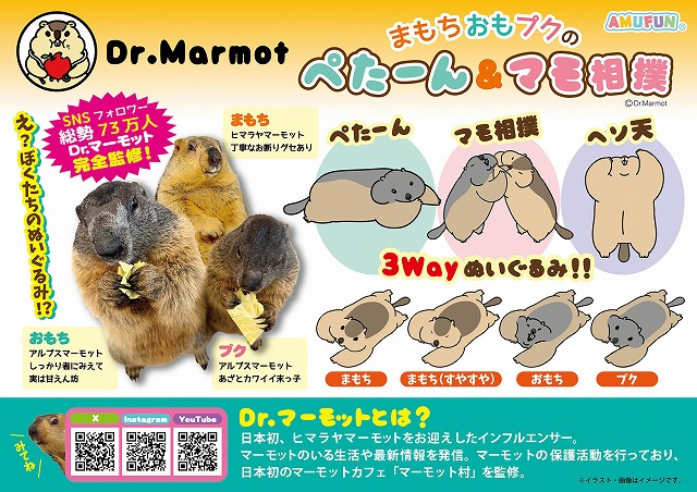 ≪12月の新商品≫Dr.マーモットまもちおもプクのぺたーん＆マモ相撲