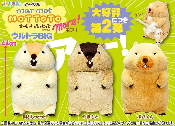≪7月の新商品≫マーモットのもっとっとモア-NEW ITEM！｜アミューズ