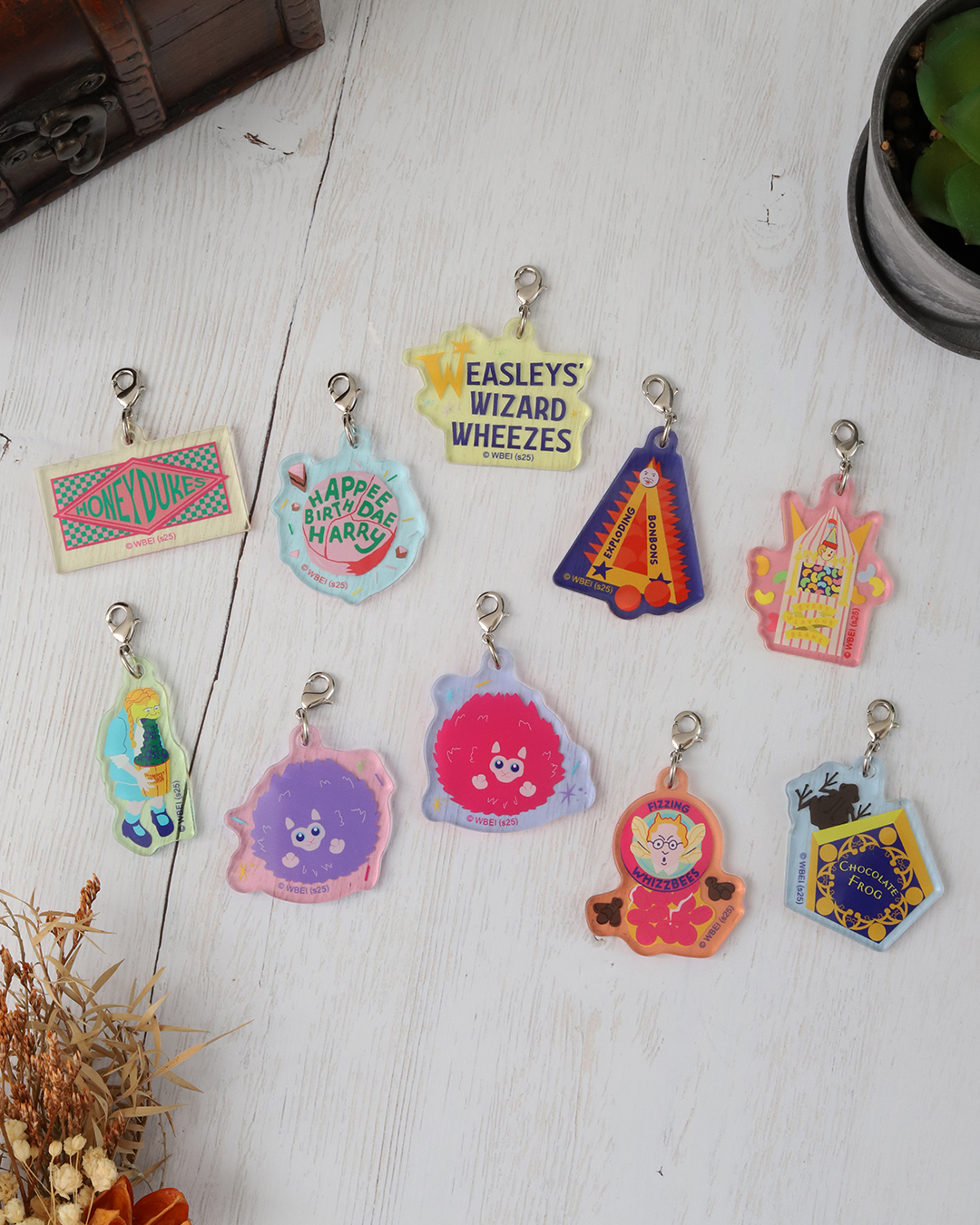 ハリー・ポッター 特設コーナー inアニメイト大阪・関西万博店