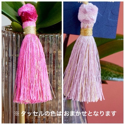 産直】椎名洋ラン園のマイクロ胡蝶蘭 ピンク系2本立ち | 青山フラワー