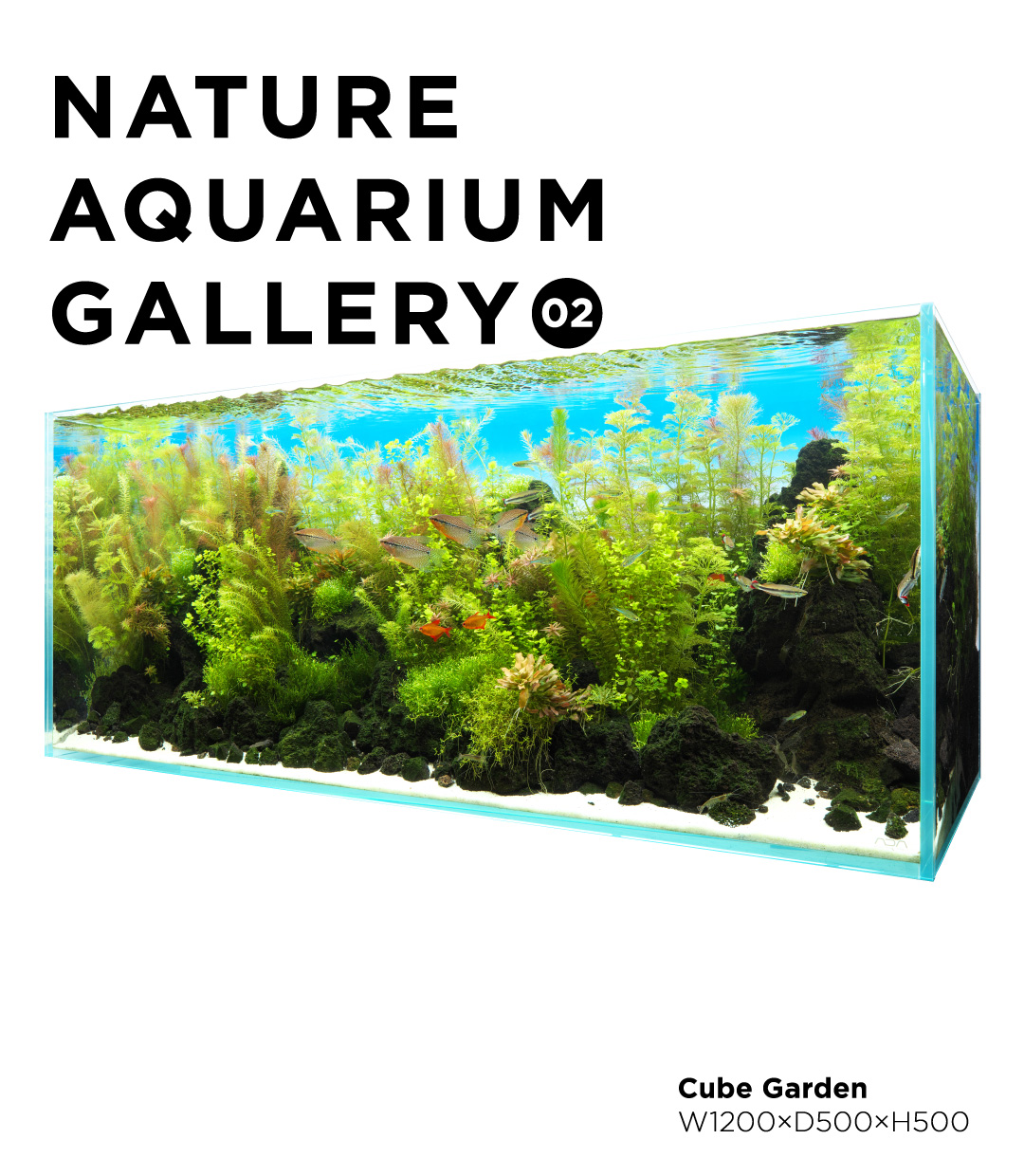 アクアジャーナル | AQUA DESIGN AMANO