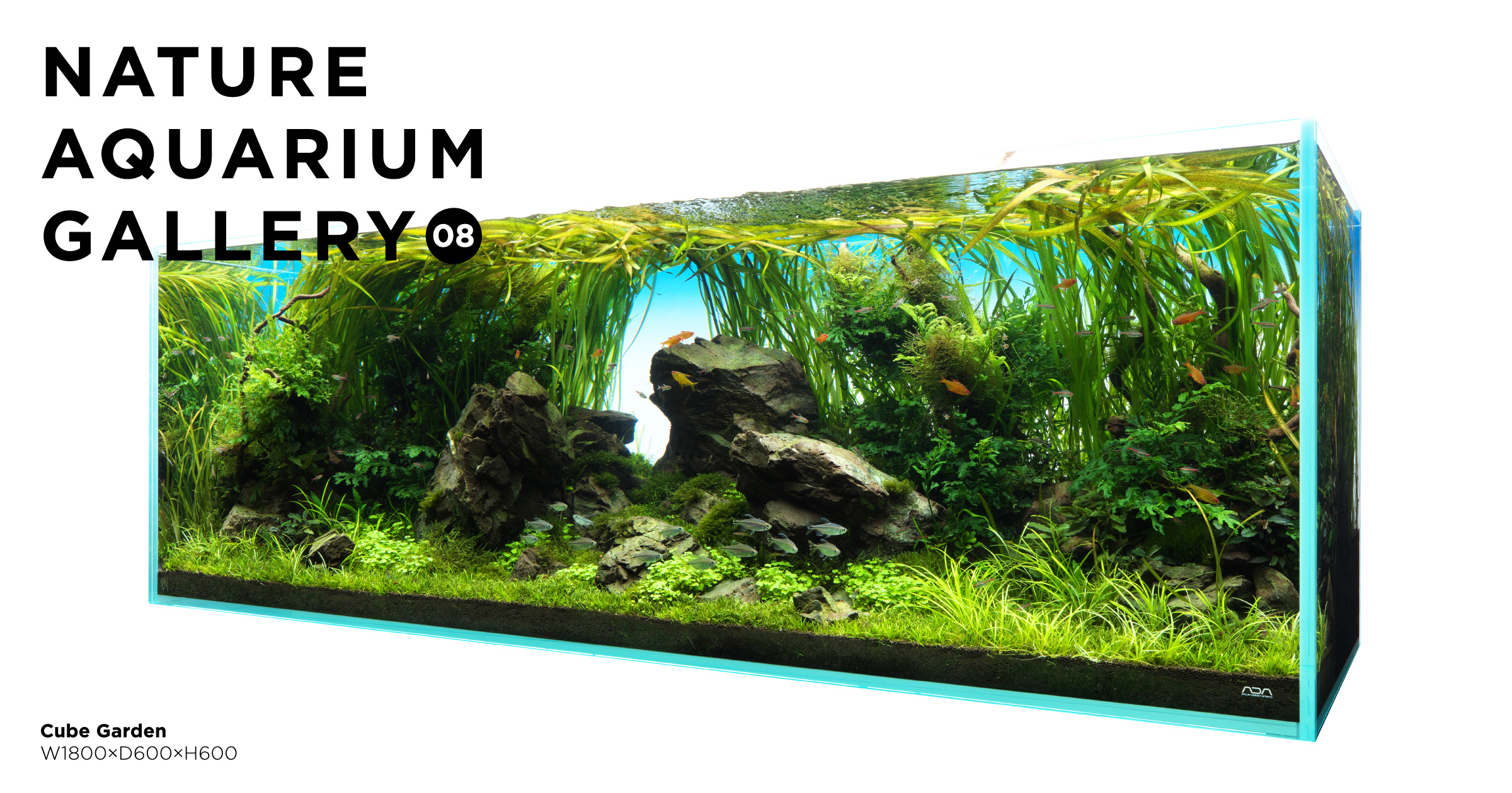 NATURE AQUARIUM GALLERY #08 「スピリット・オブ・ネイチャー