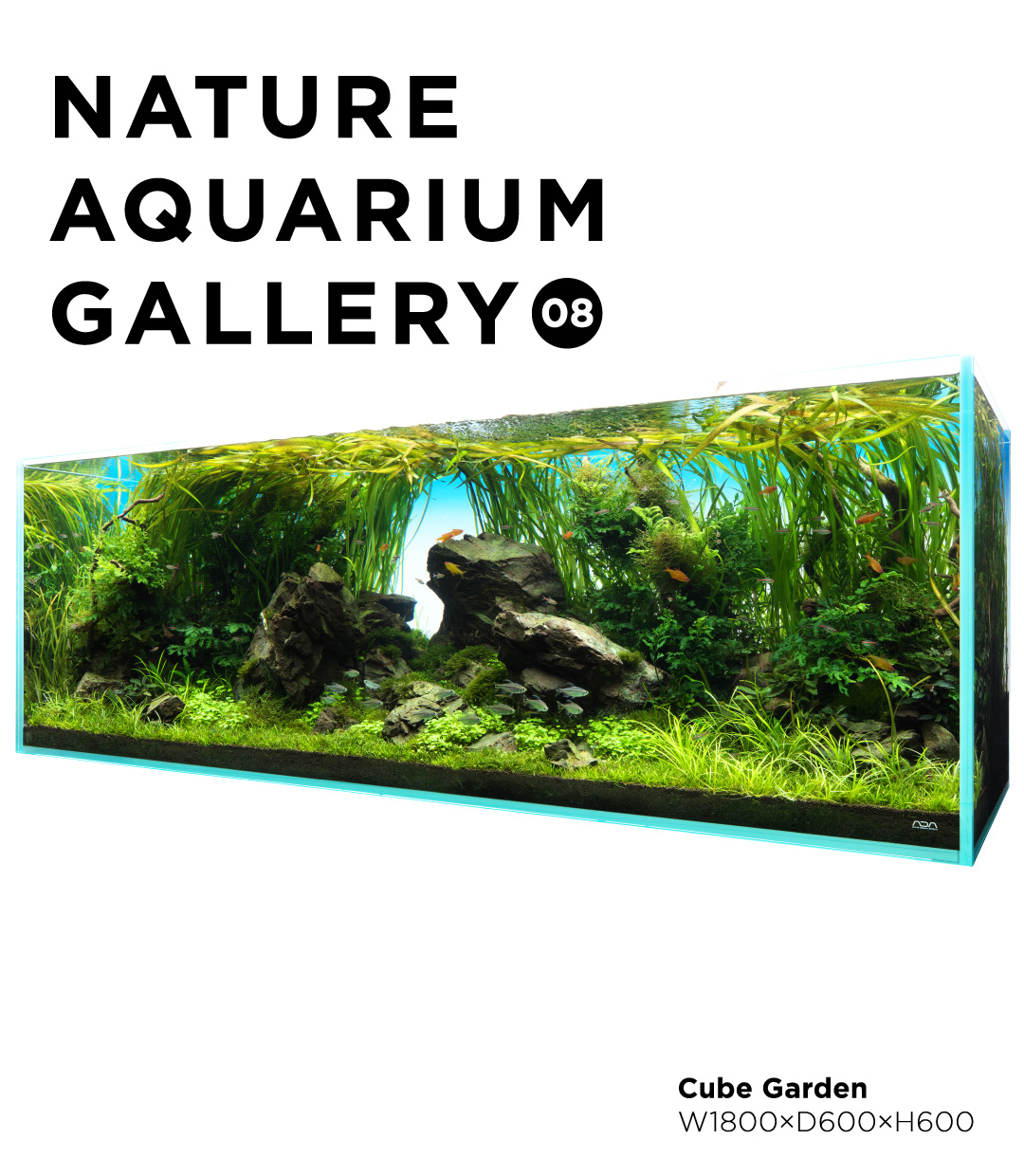 NATURE AQUARIUM CHRONICLE 2010-2015 | en