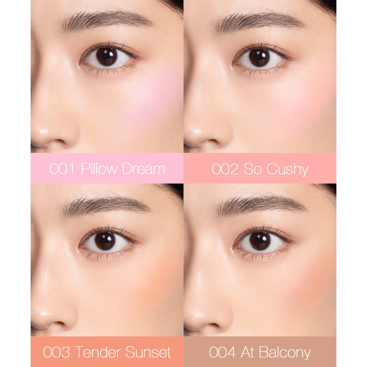 アディクション ザ リキッドブラッシュ フォギー(6.5g 001 Pillow