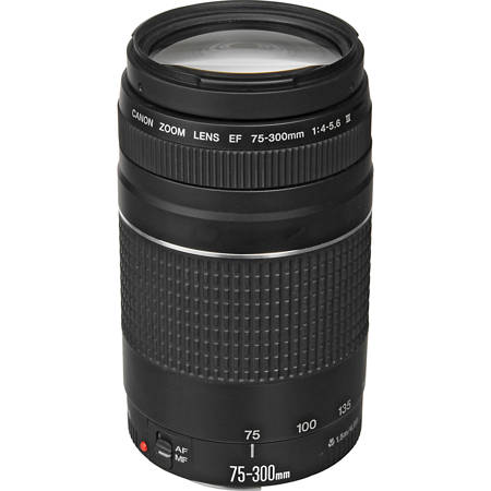 Canon EF 75-300mm f/4-5.6 III Lens 6473A003 - Adorama