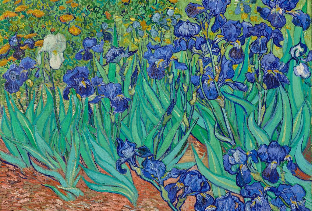 Vincent Van Gogh – His Life & Paintings | A French Collection
