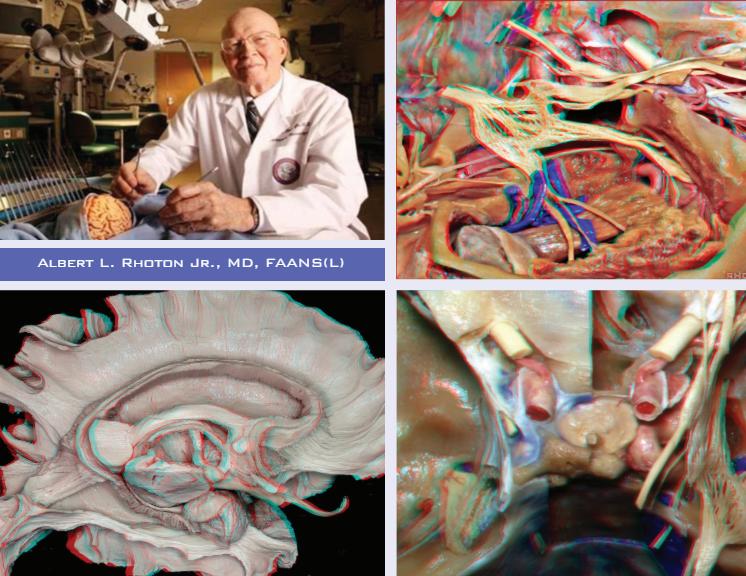 The Rhoton Collection® - AANS