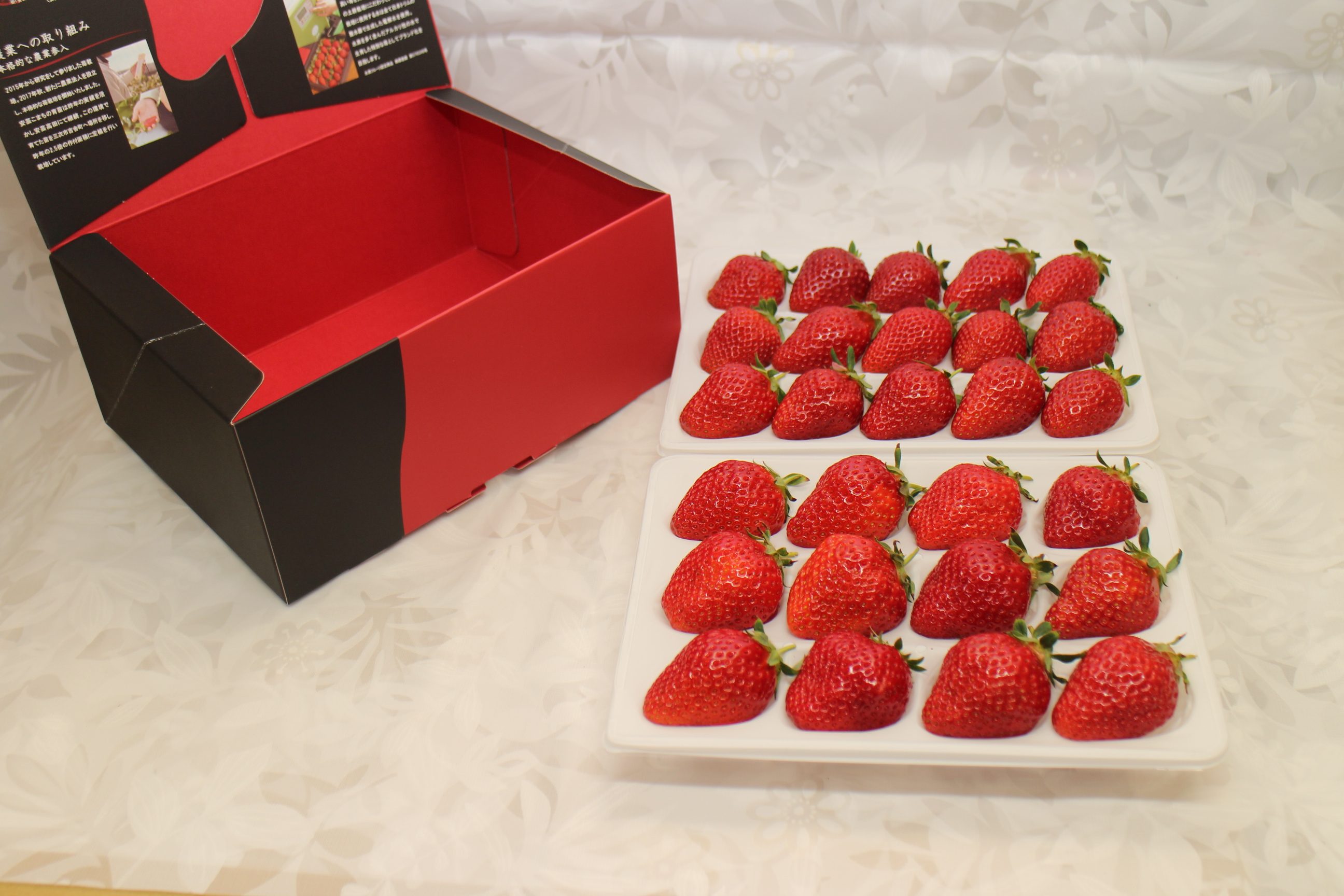 商品一覧 | 安芸こまち 水素水で育ったいちご