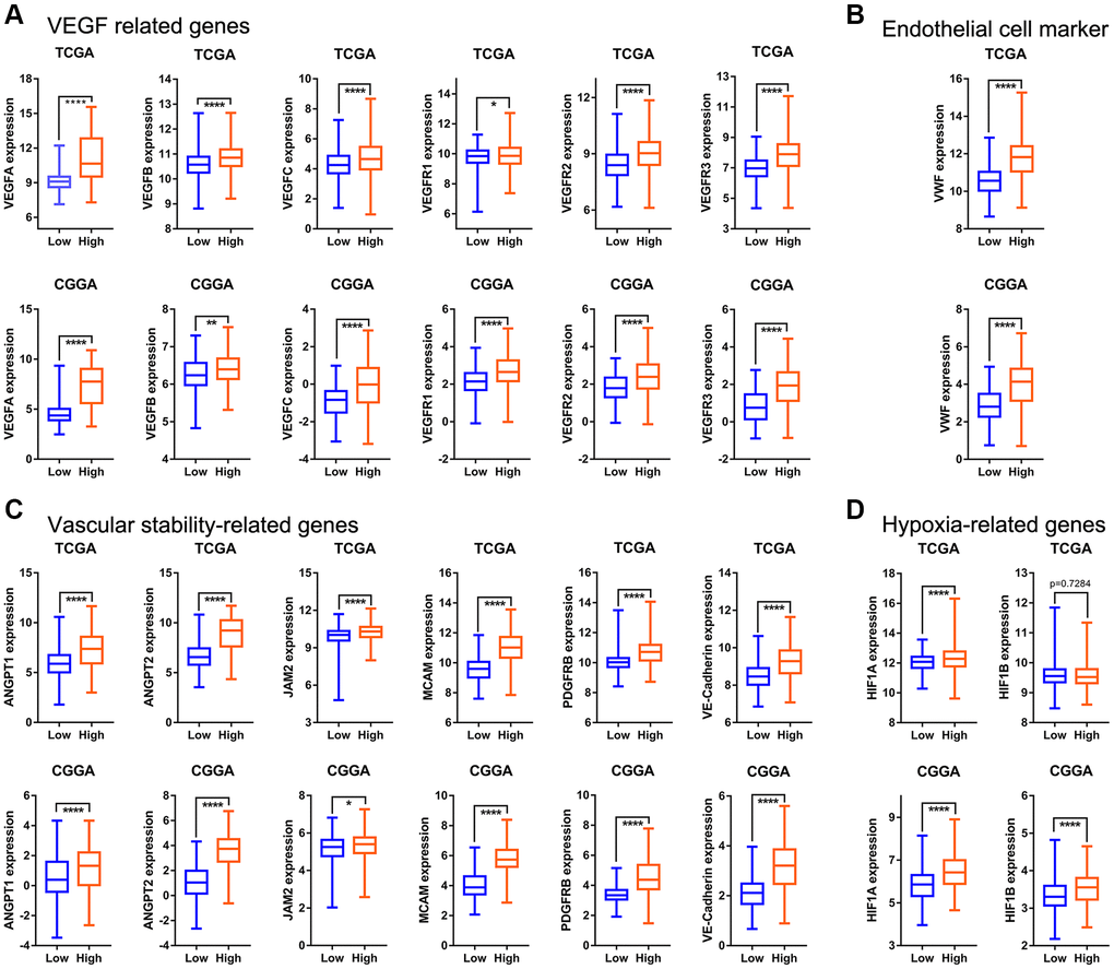 Intra-tumoral angiogenesis correlates with immune features and