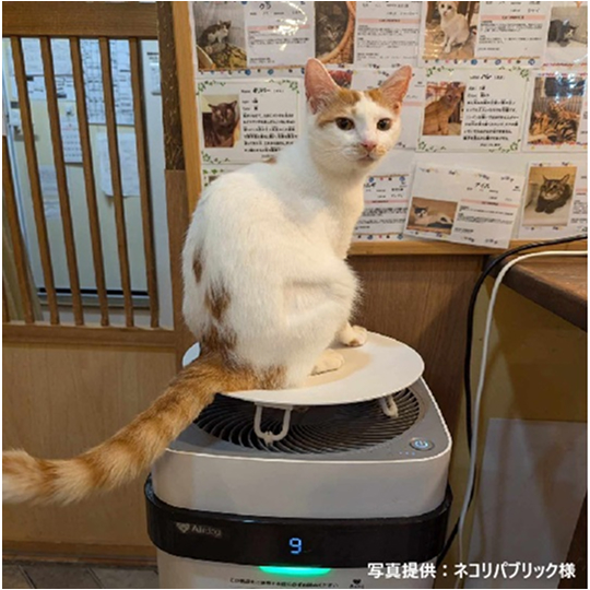 公式】Airdog | Airdog X3D｜ホワイト（トッププレート付き）【保護犬