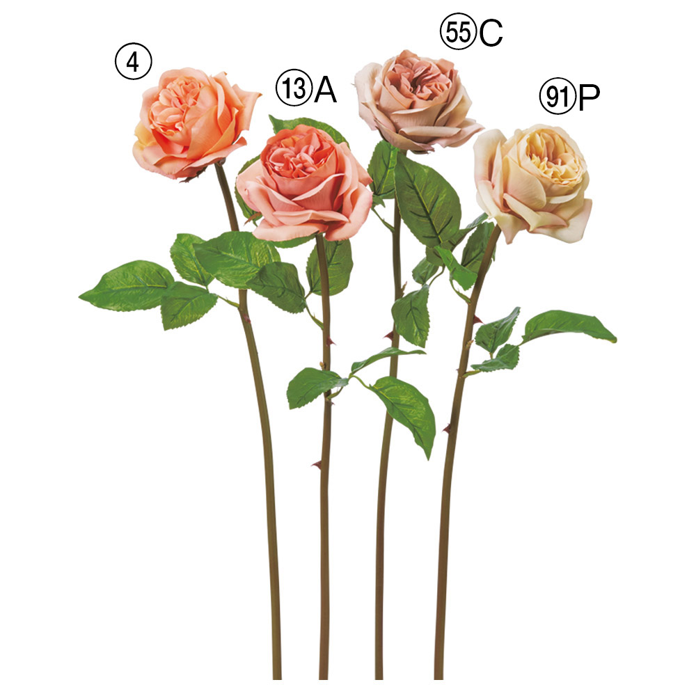 ローズ｜商品案内｜株式会社アスカ商会