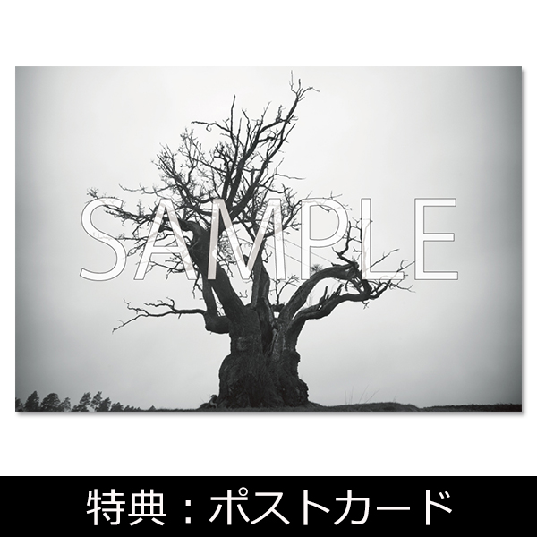 Album SEKAI NO OWARI 2010-2019 [First Press Limited Edition