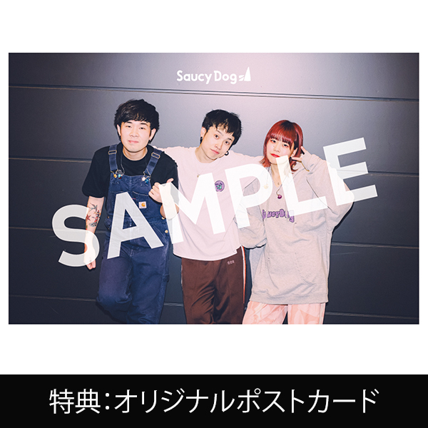 Saucy Dog 「It Re:ARENA TOUR」 2024.3.31 Kアリーナ横浜 | Saucy Dog