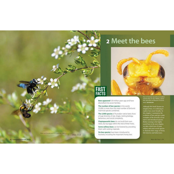 The Australian Native Bee Book – Aspects of Kings Park