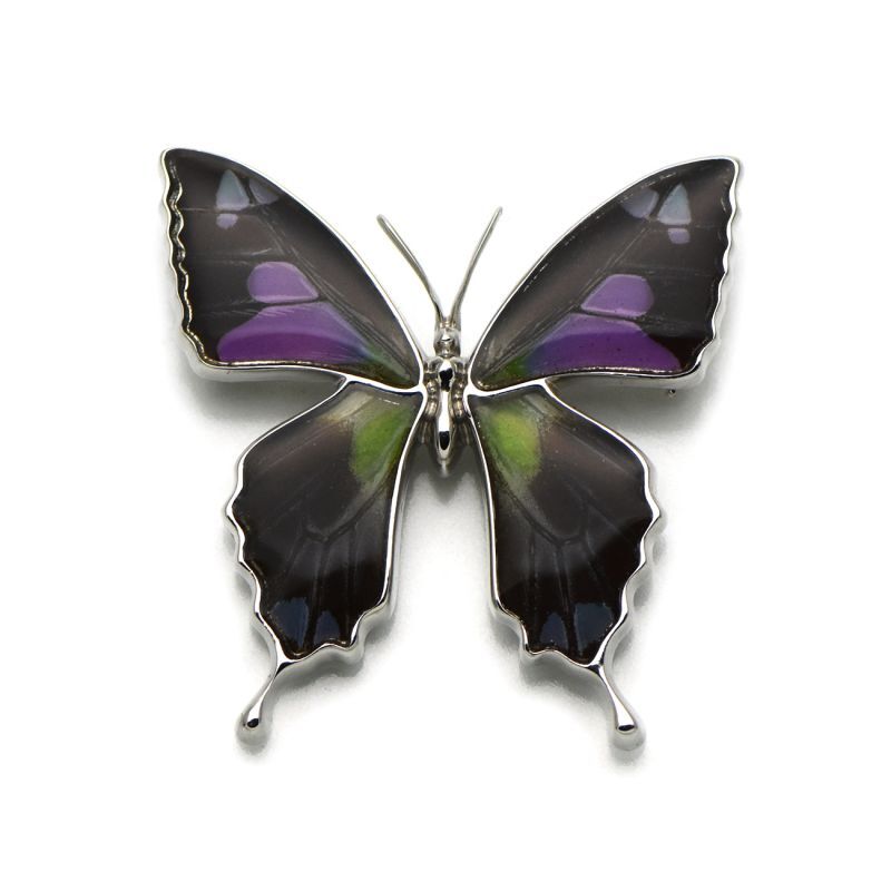 ミイロタイマイ 蝶の翅 ブローチ兼ペンダント シルバー925【Psyche