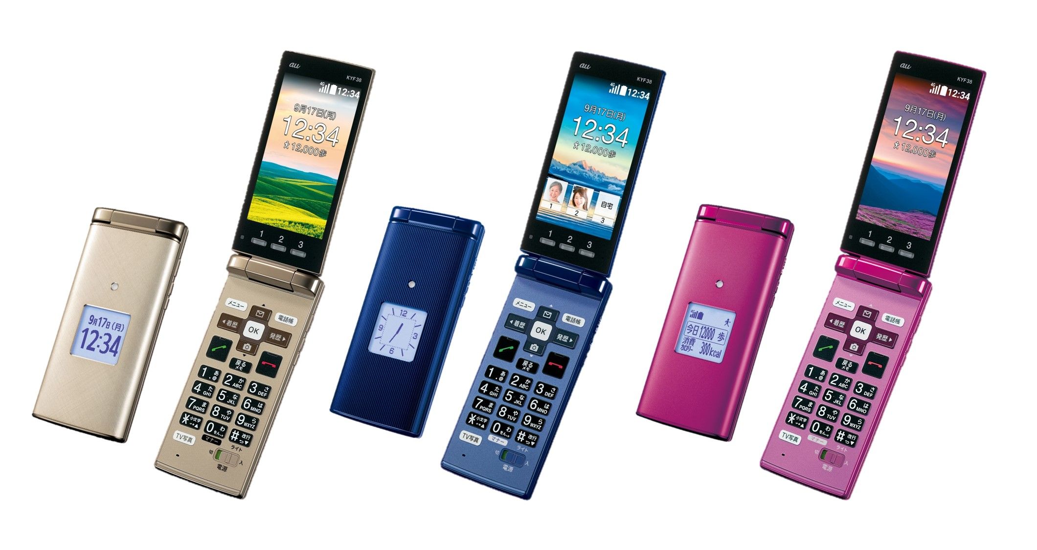 img_162406_1.jpg?format=webp