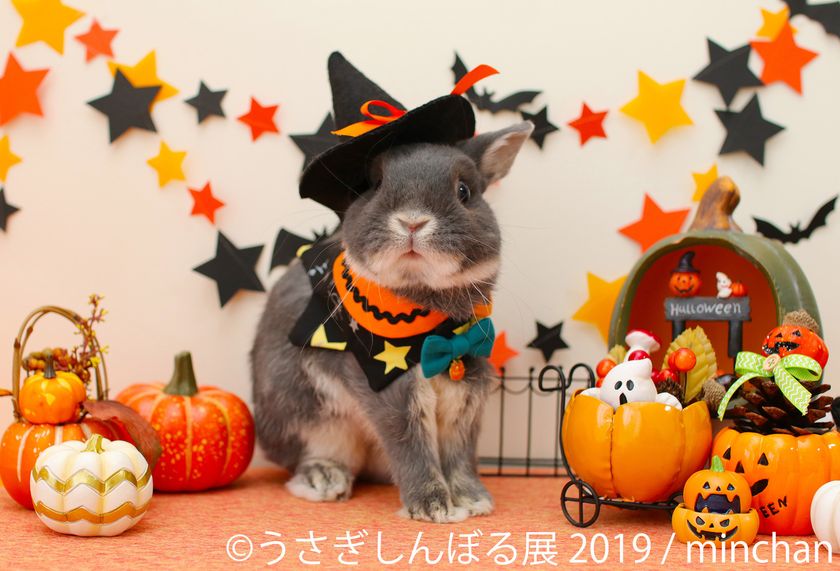 月兔にハロウィン、秋の「うさぎしんぼる」展 東京・名古屋で開催