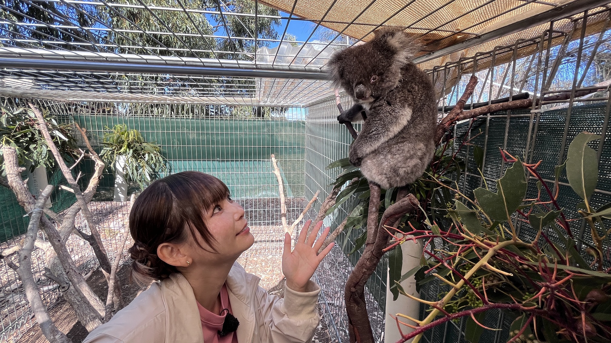 3月10日放送！中京テレビ制作 ブラザー presents 潜入！絶滅動物研究所