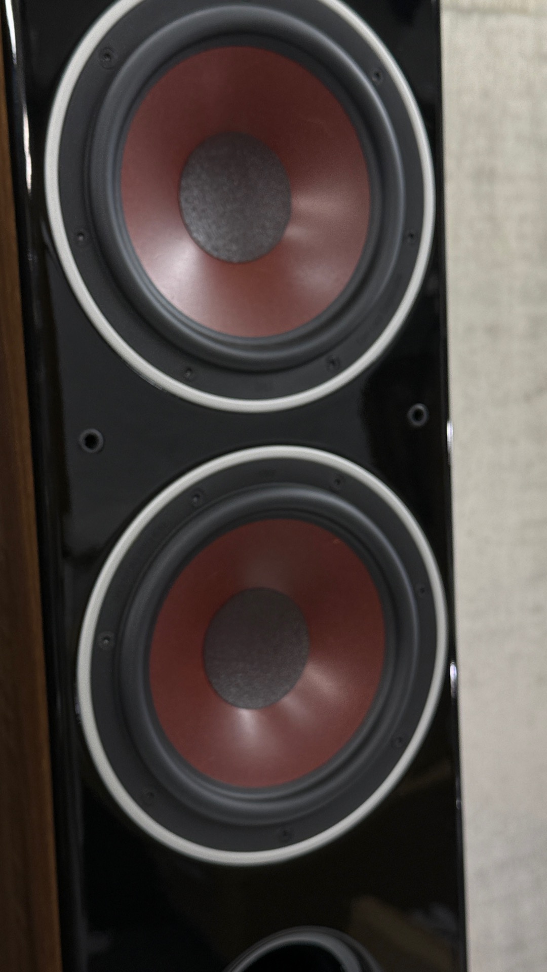 アバックWEB-SHOP / 【中古】DALI ZENSOR7(LW)【コード01-12329