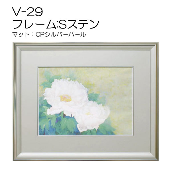 V-29 フレーム:Sステン(CP:シルバーパール)(アクリル) | マルニ額縁画材店