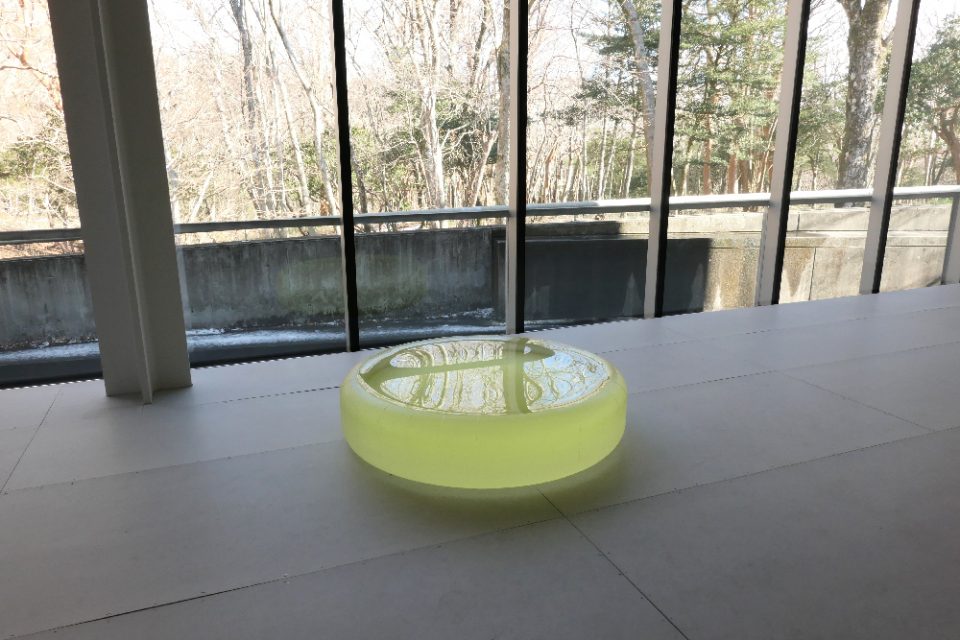 ロニ・ホーン：水の中にあなたを見るとき、あなたの中に水を感じる