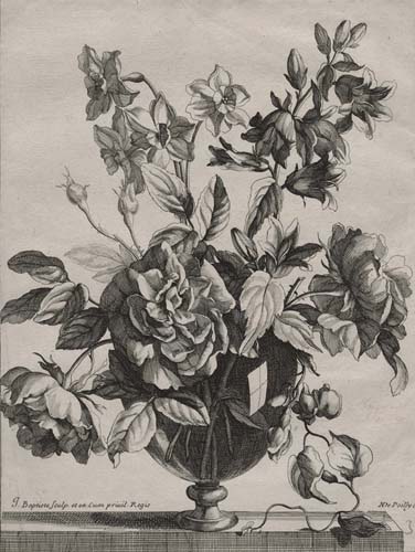 永遠（とわ）に花咲く庭 17-19世紀の西洋植物画 名古屋ボストン美術館