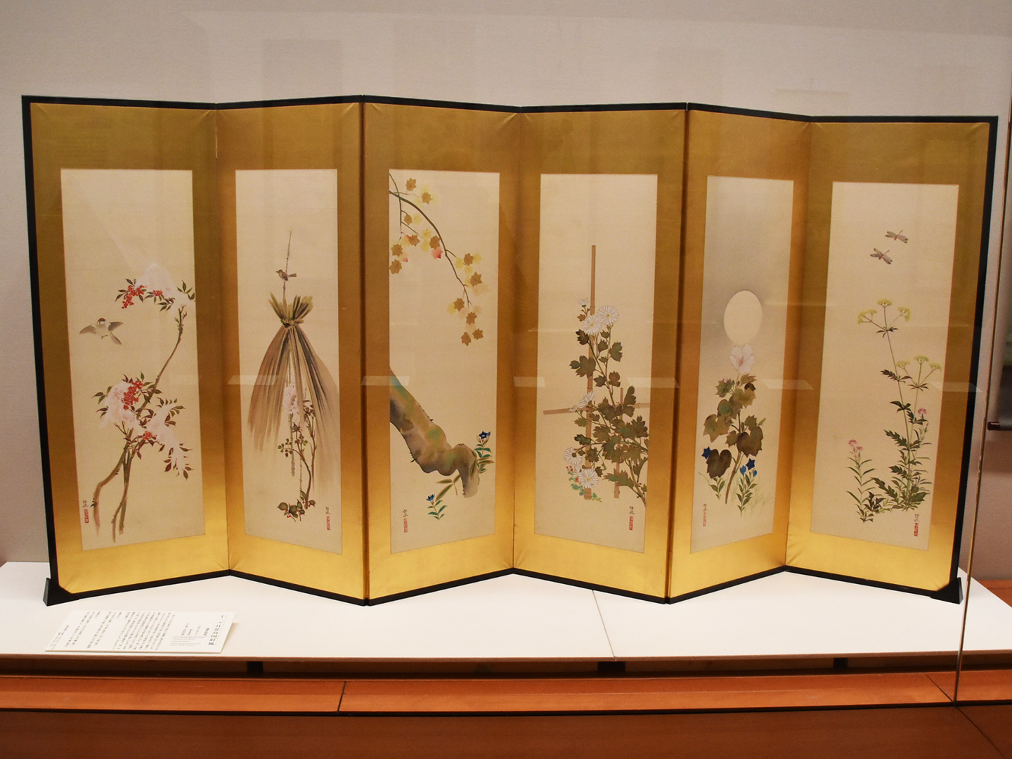 江戸屋の原画 掛軸 1233x424mm E435 三十六歌仙下絵 伝酒井抱一 江戸屋