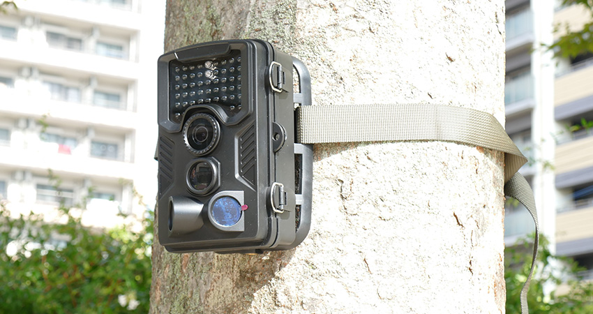 トレイルカメラの防犯・監視に最適な選び方とおすすめ製品｜防犯カメラ