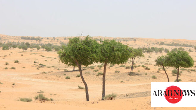 環境週間のイベントでサウジアラビアの指導的役割が脚光を浴びる｜ARAB