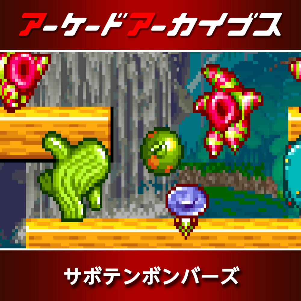 アーケードアーカイブス サボテンボンバーズ | アーケードアーカイブス