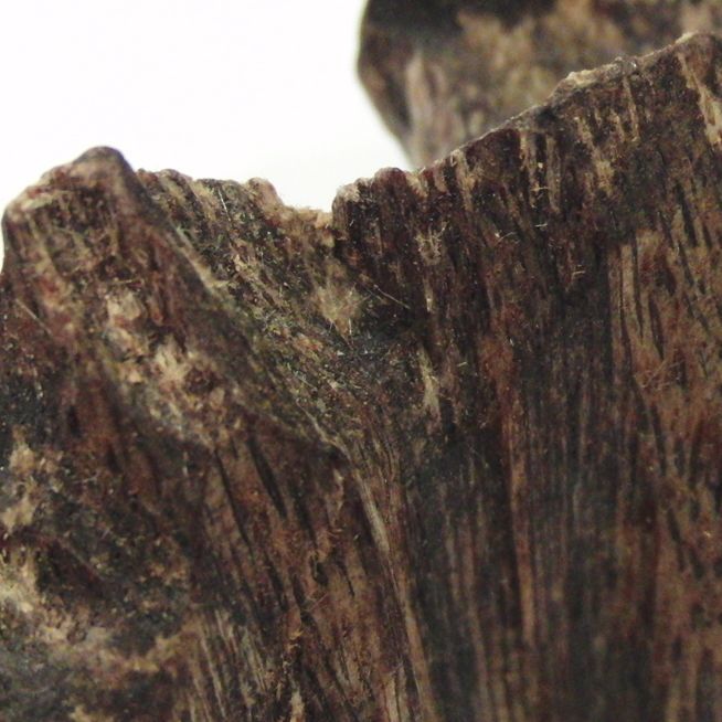 お香-香木-伽羅 （グラム・形状）売り (オーダー品) -伽羅(きゃら)