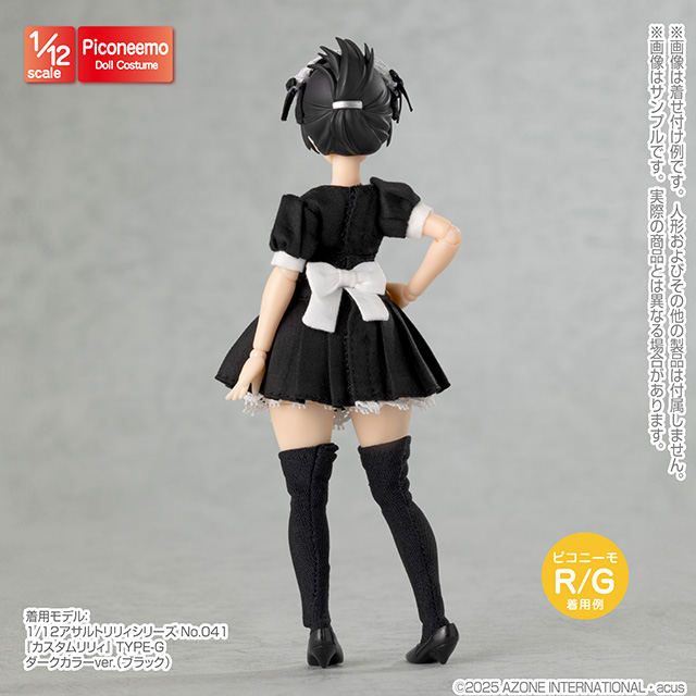 特製e-amusement pass BisCo メイド衣装Ver. 特製e-amusement pass