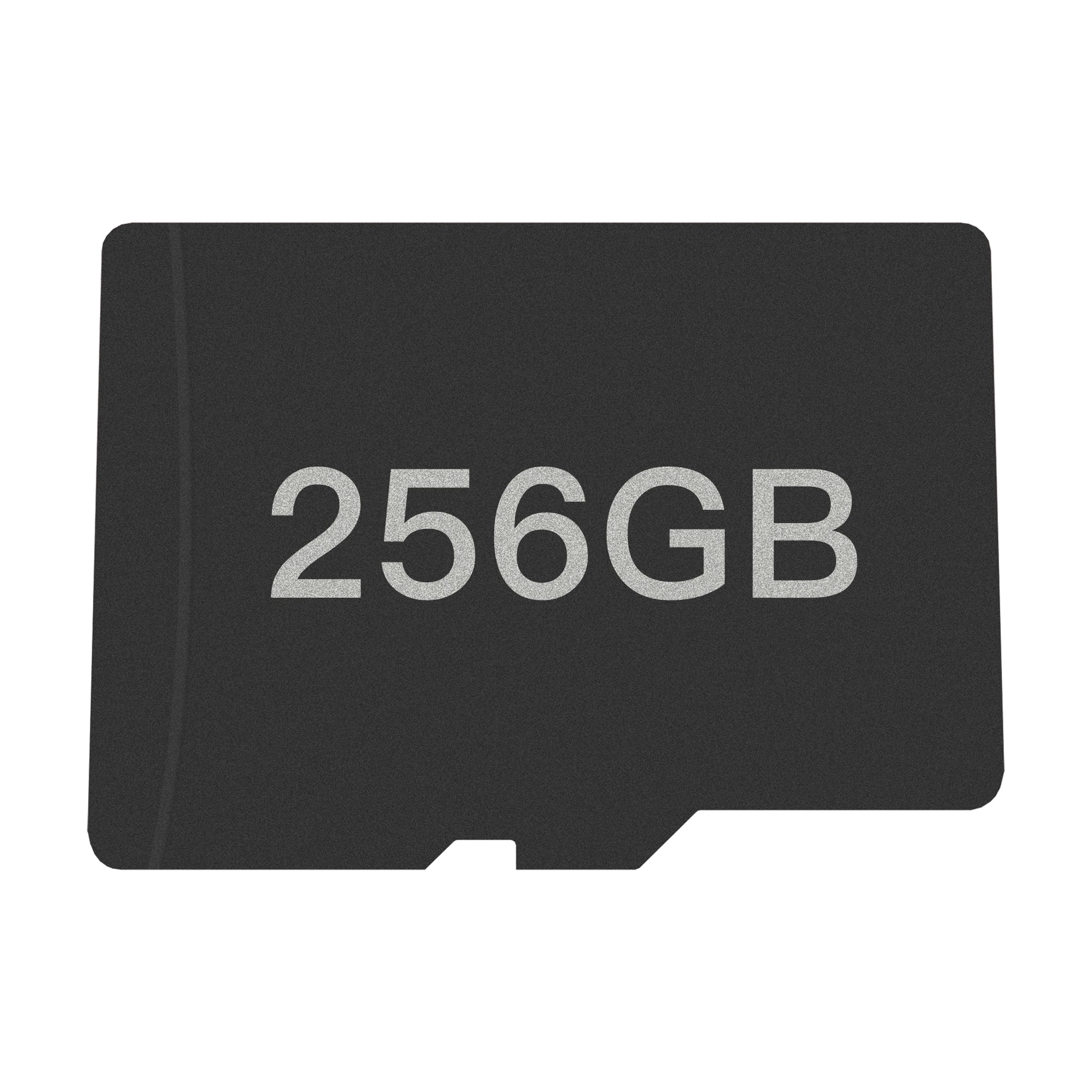 256GB SD Card – AYN