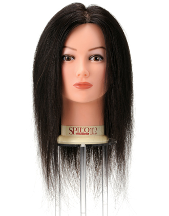 レジーナ 国家試験カッティング課題練習用カットウィッグ LC-50T[美容