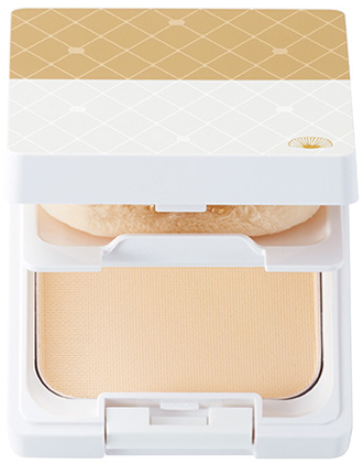 ┃廃番┃アジュバン プリンシェル P-プロテクトR2 40gの業務用通販