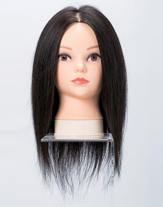 レジーナ 国家試験カッティング課題練習用カットウィッグ LC-50T[美容