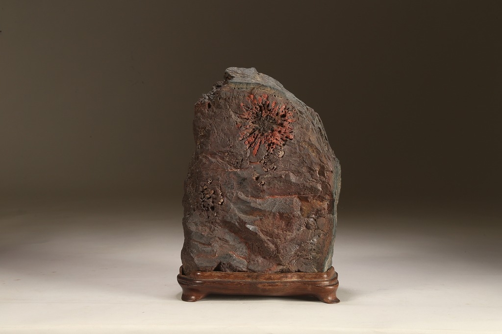 根尾菊花石 | 雨竹亭オンラインショップ