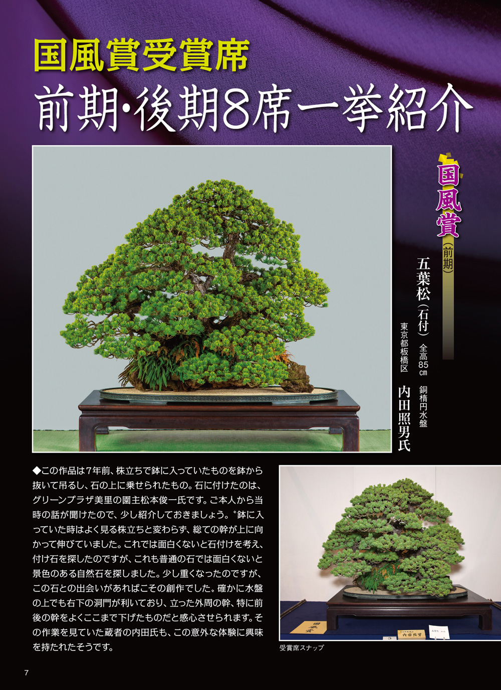 皇居の盆栽 盆栽 盆栽鉢 水盤 皇居の盆栽 盆栽 盆栽鉢 水盤｜皇居の