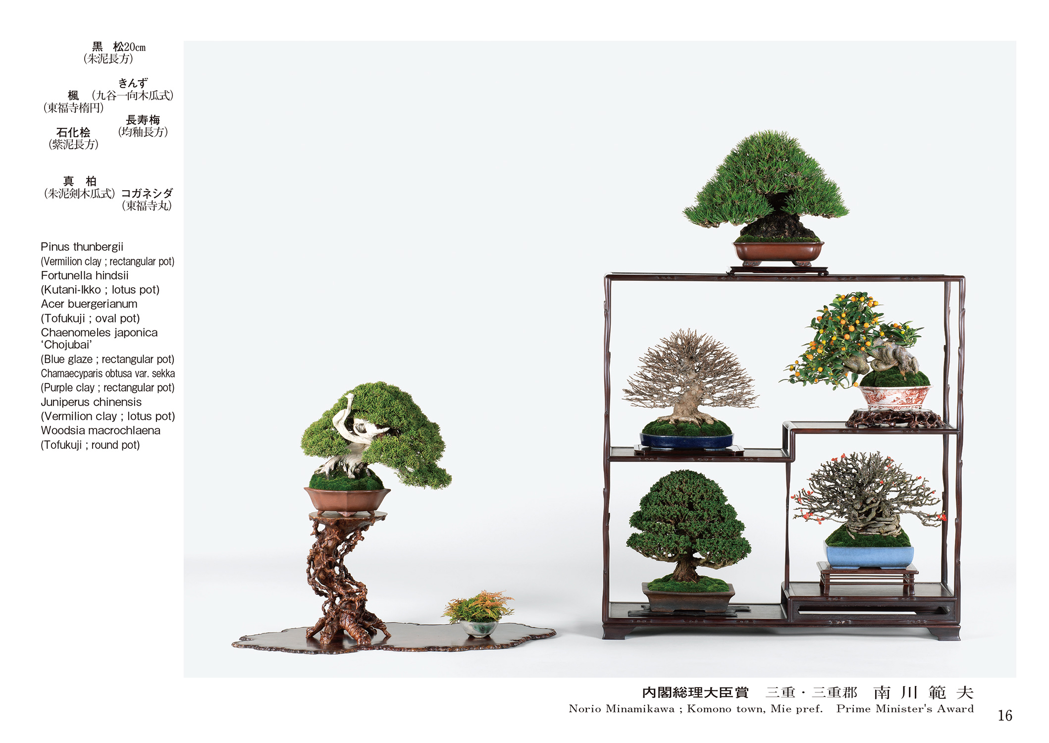 第49回 雅風展記念帖 | 盆栽、盆栽書籍、盆栽鉢の通販│近代出版