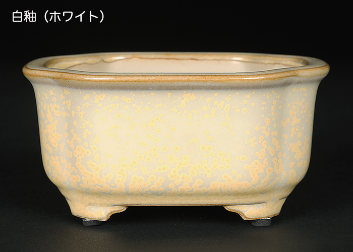 広東隅切長方鉢〔石峰雨竹〕 | 盆栽、盆栽書籍、盆栽鉢の通販│近代出版